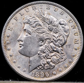 1896 Morgan Silver Dollar Coin Uncirculated Toned
