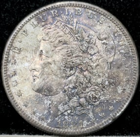 1881-S Morgan Silver Dollar PL Toned
