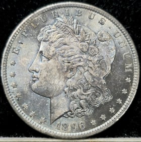 1896 Morgan Silver Dollar Toned