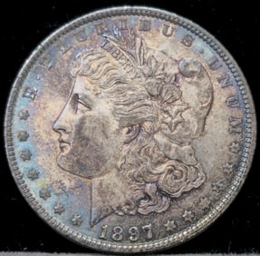 1897 Morgan Silver Dollar Toned