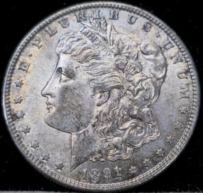 1891-S Morgan Silver Dollar Toned