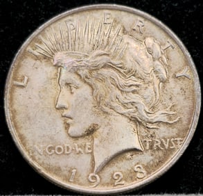 1923 Peace Silver Dollar Toned