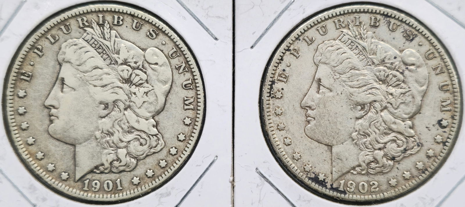 Morgan Silver Dollars (1 of 2)