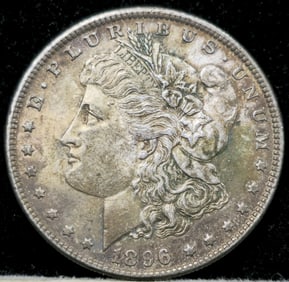 1896 Morgan Silver Dollar Toned