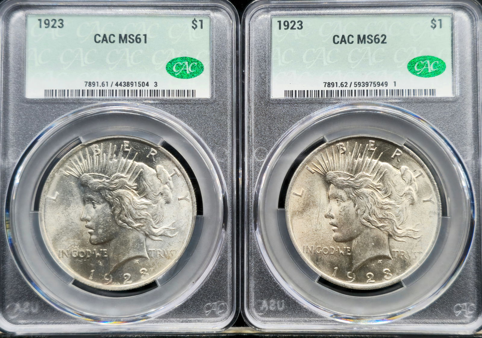 1923 Peace Silver Dollar CAC (1 of 5)