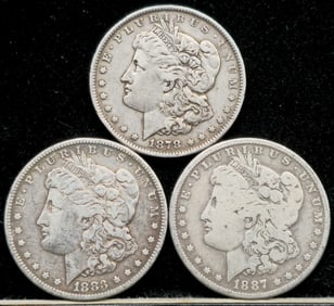Morgan Silver Dollars
