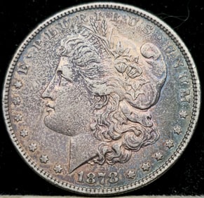 1878 Morgan Silver Dollar DDR Toned