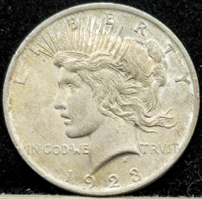 1923 Peace Silver Dollar Toned