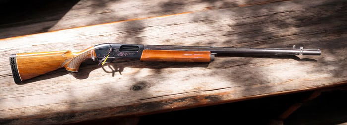 Remington Model 11 Magnum 12 Gauge Sportsman Field Shotgun with Walnut Stock