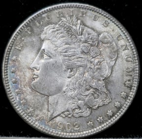 1902 Morgan Silver Dollar Toned