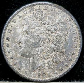 1881 Morgan Silver Dollar Toned