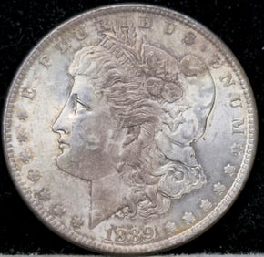 1889 Morgan Silver Dollar Toned