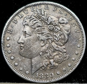 1880 Morgan Silver Dollar Toned