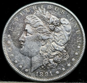 1891-S Morgan Silver Dollar Toned
