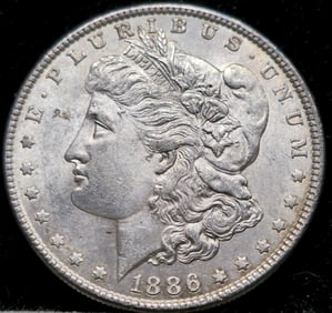 1886 Morgan Silver Dollar Toned