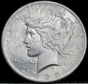 1925 Peace Silver Dollar Toned