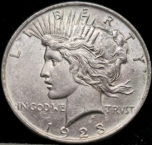 1923 Peace Silver Dollar Toned