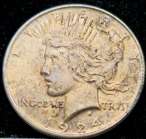 1924 Peace Silver Dollar Toned