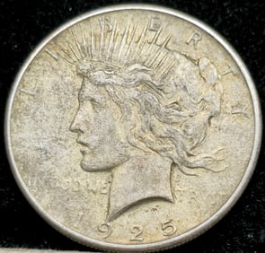 1925 Peace Silver Dollar Toned