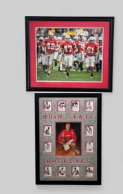 The Ohio State Buckeye Grouping