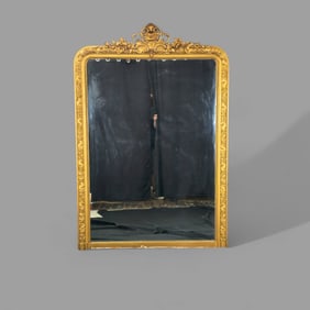 19th Century French Louis XV Carved Giltwood Mirror