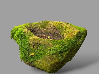 19th Century Garden Trough with Aged Moss