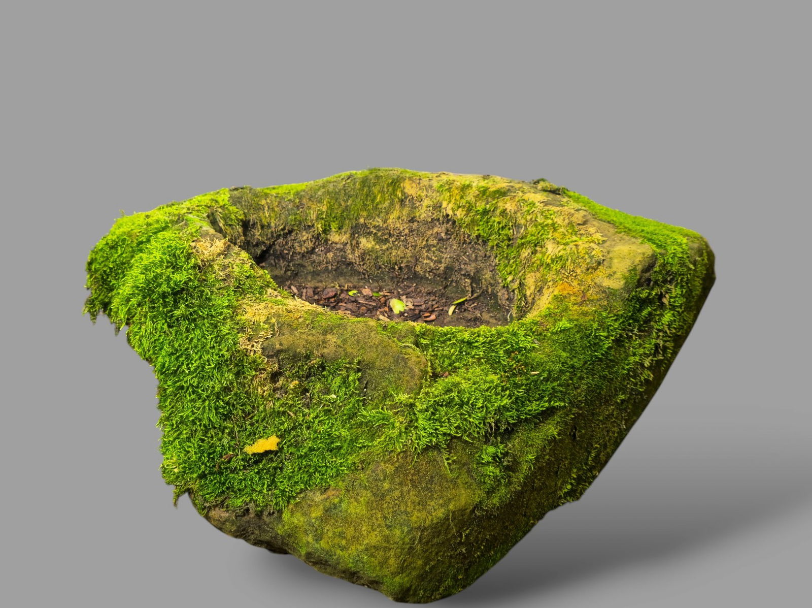 19th Century Garden Trough with Aged Moss (1 of 6)