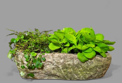 Early 19th Century Garden Trough