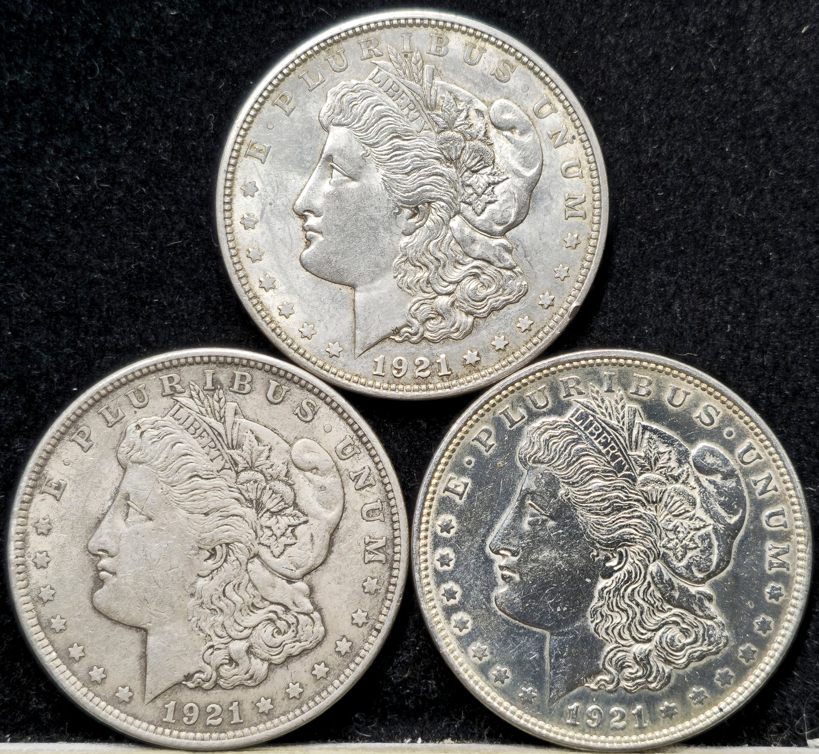 1921 Morgan Dollars (1 of 2)