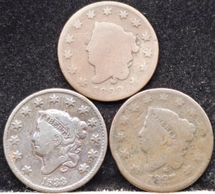 United States Matron Head Large Cent Group