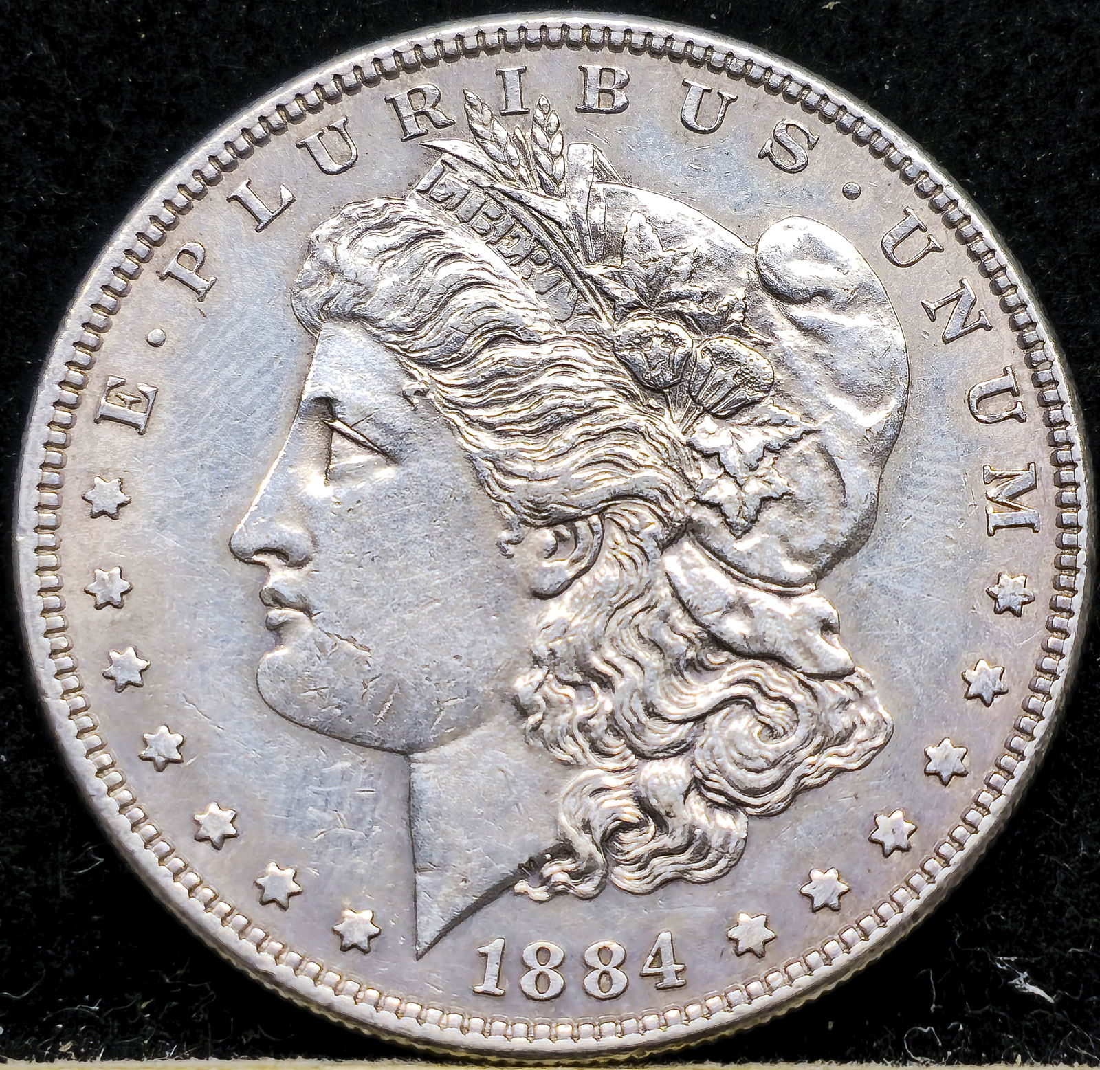 1884 Morgan Dollar PL (1 of 4)