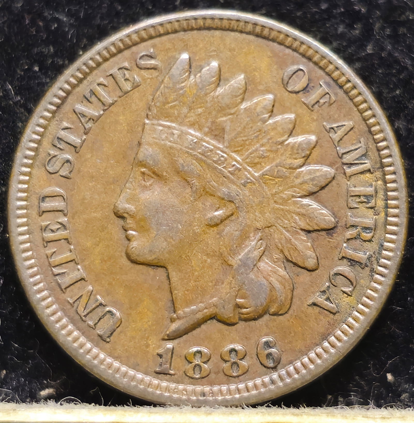1886 Indian Head Cent Type II (1 of 4)