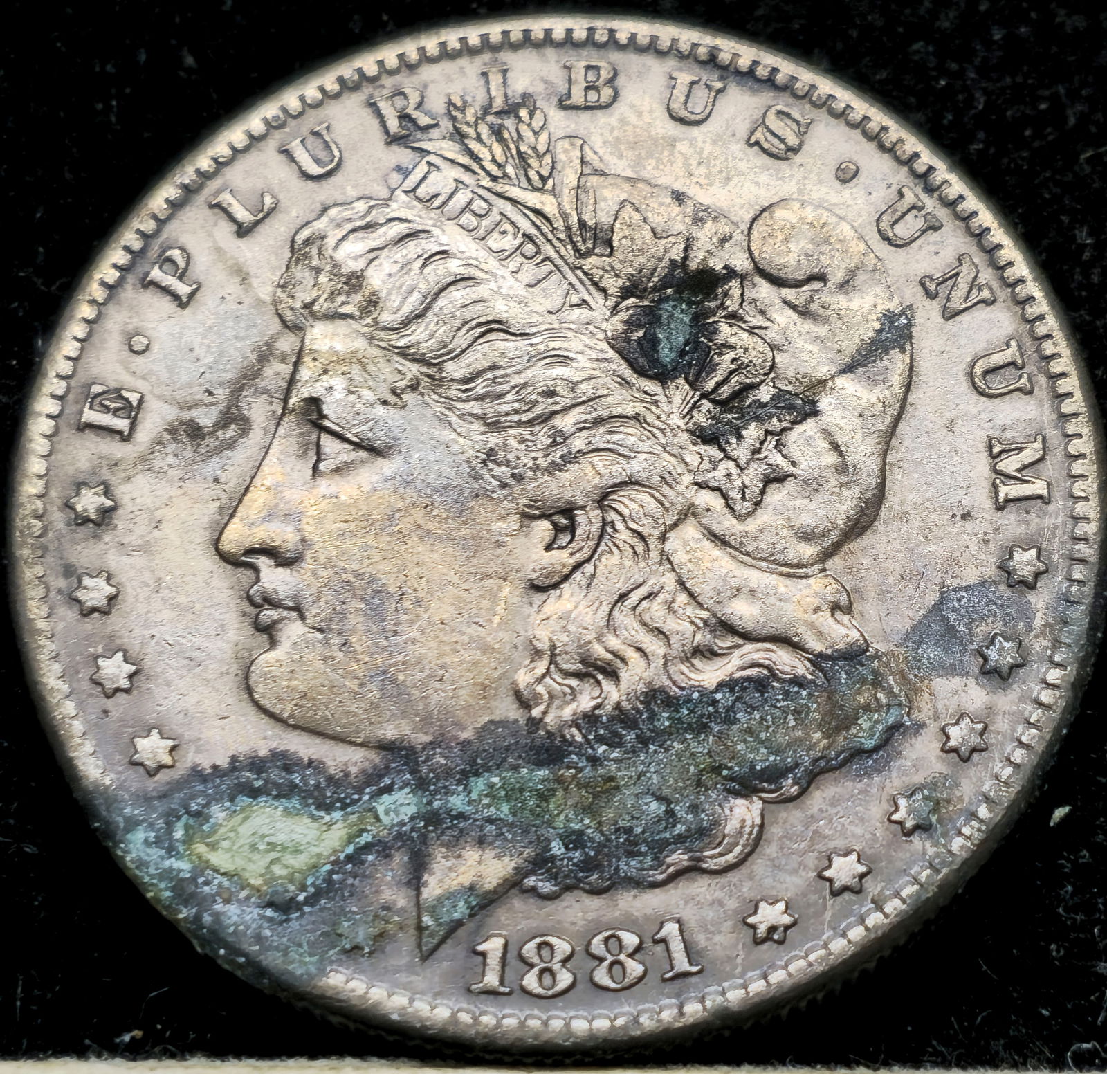 1881-CC Morgan Dollar (1 of 2)