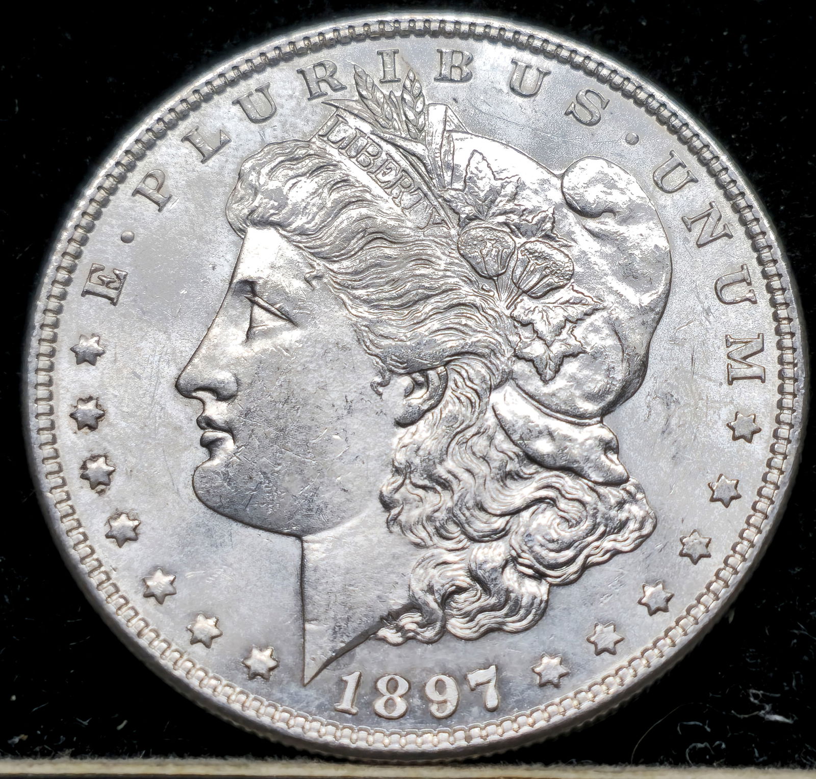 1897 Morgan Dollar (1 of 5)