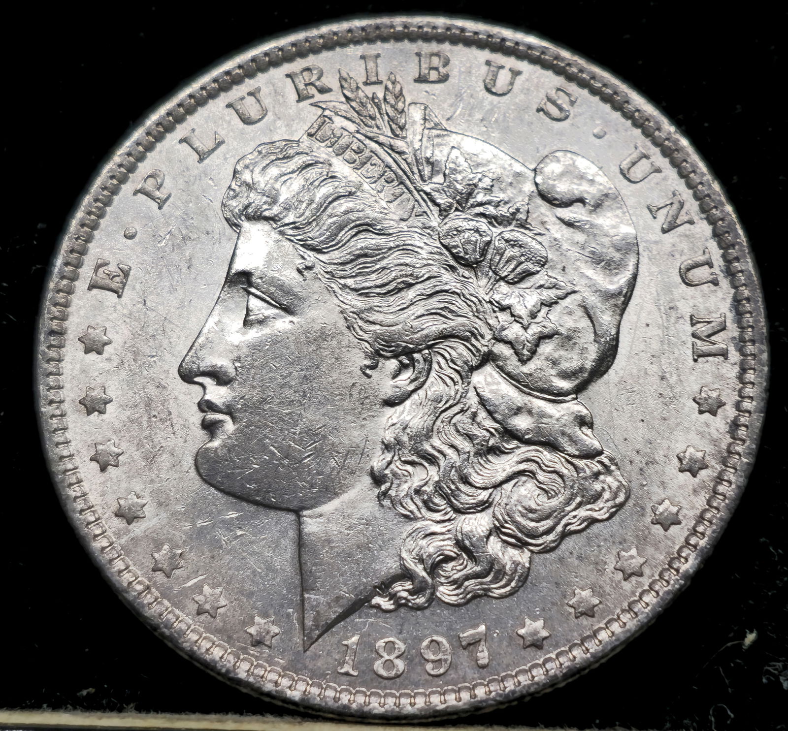 1897 Morgan Dollar (1 of 4)