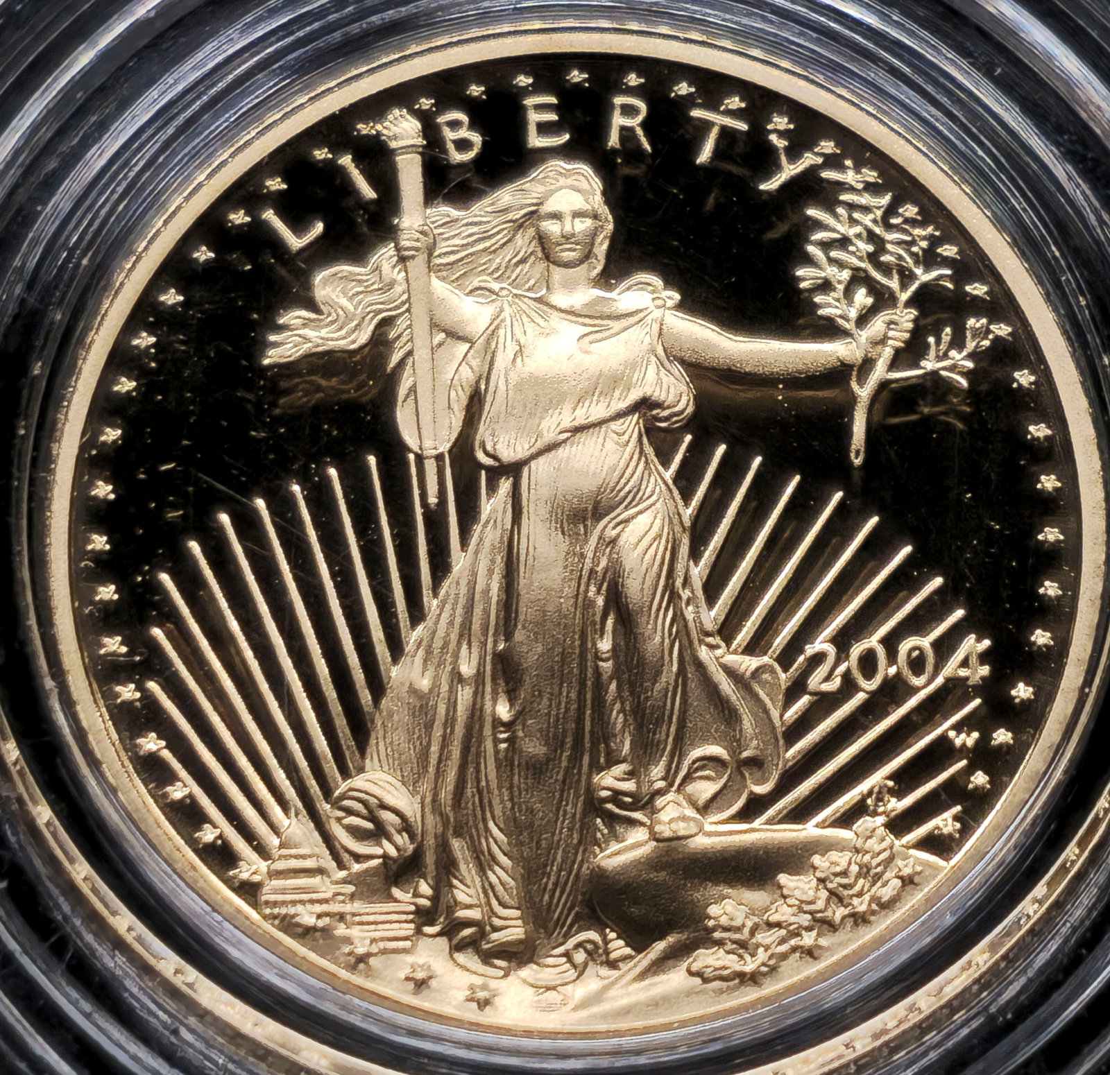 2004-W $5 Gold American Eagle Proof (1 of 2)