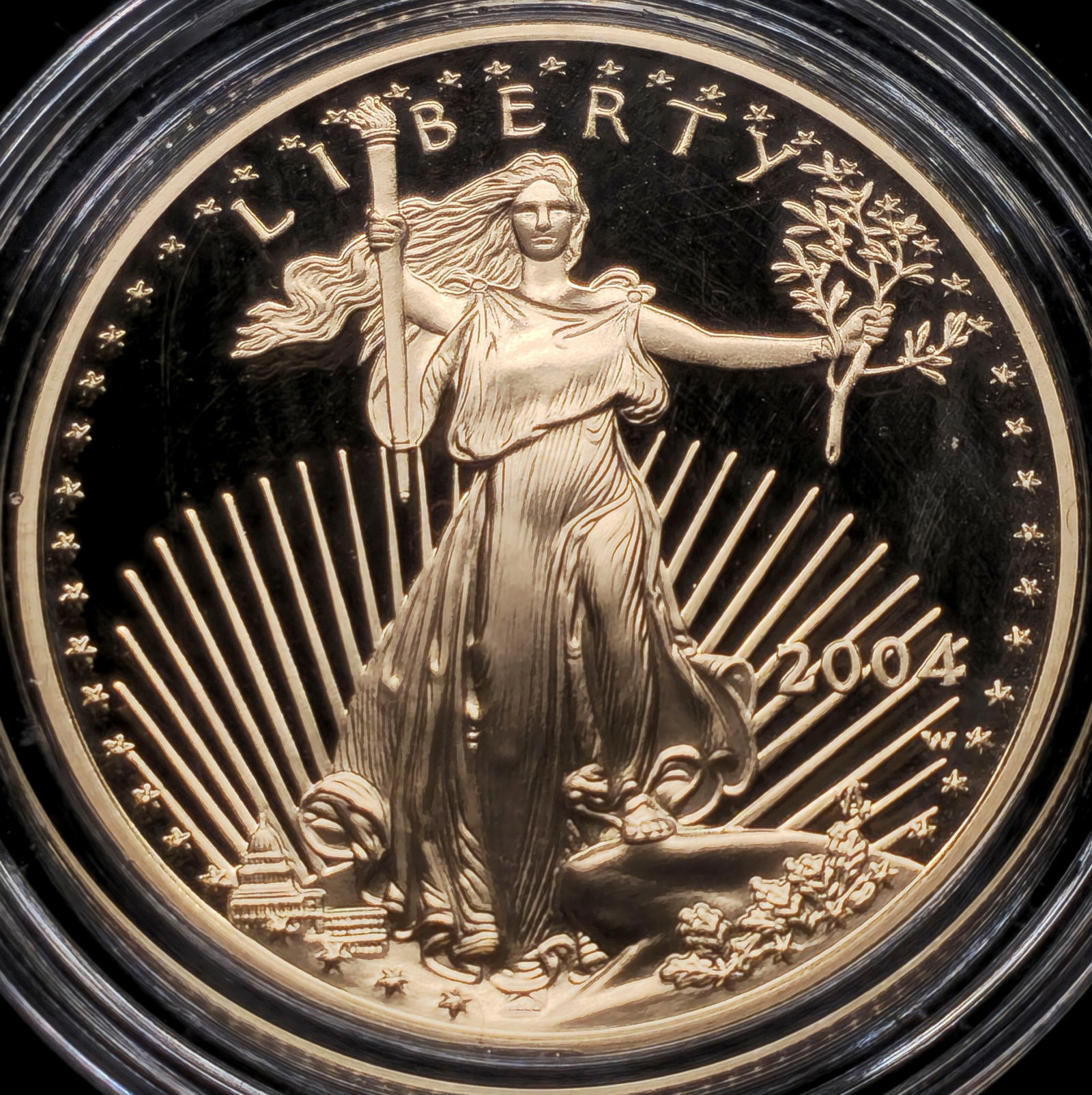 2004-W $25 Gold American Eagle Proof (1 of 2)