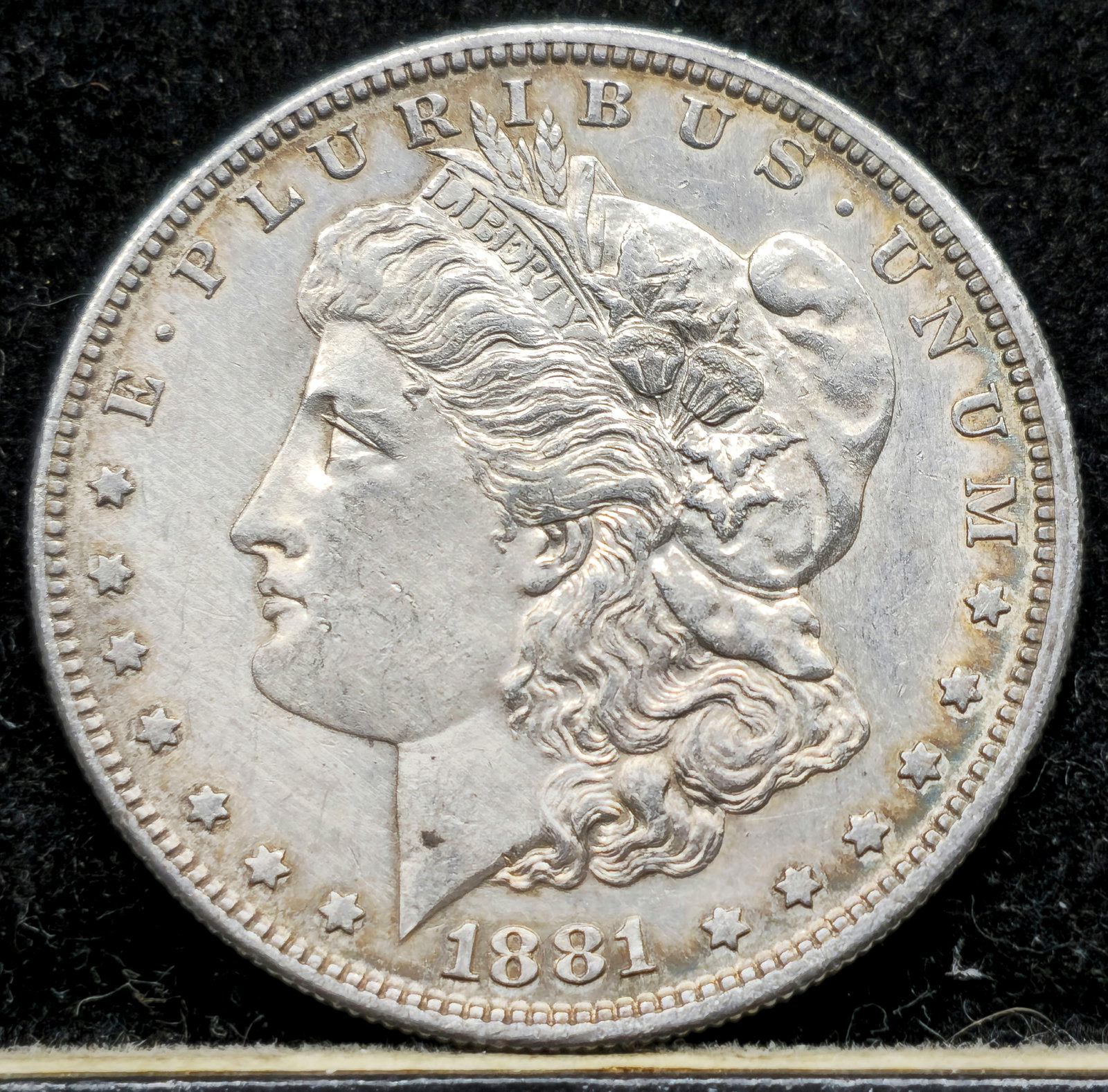 1881-S Morgan Dollar (1 of 2)