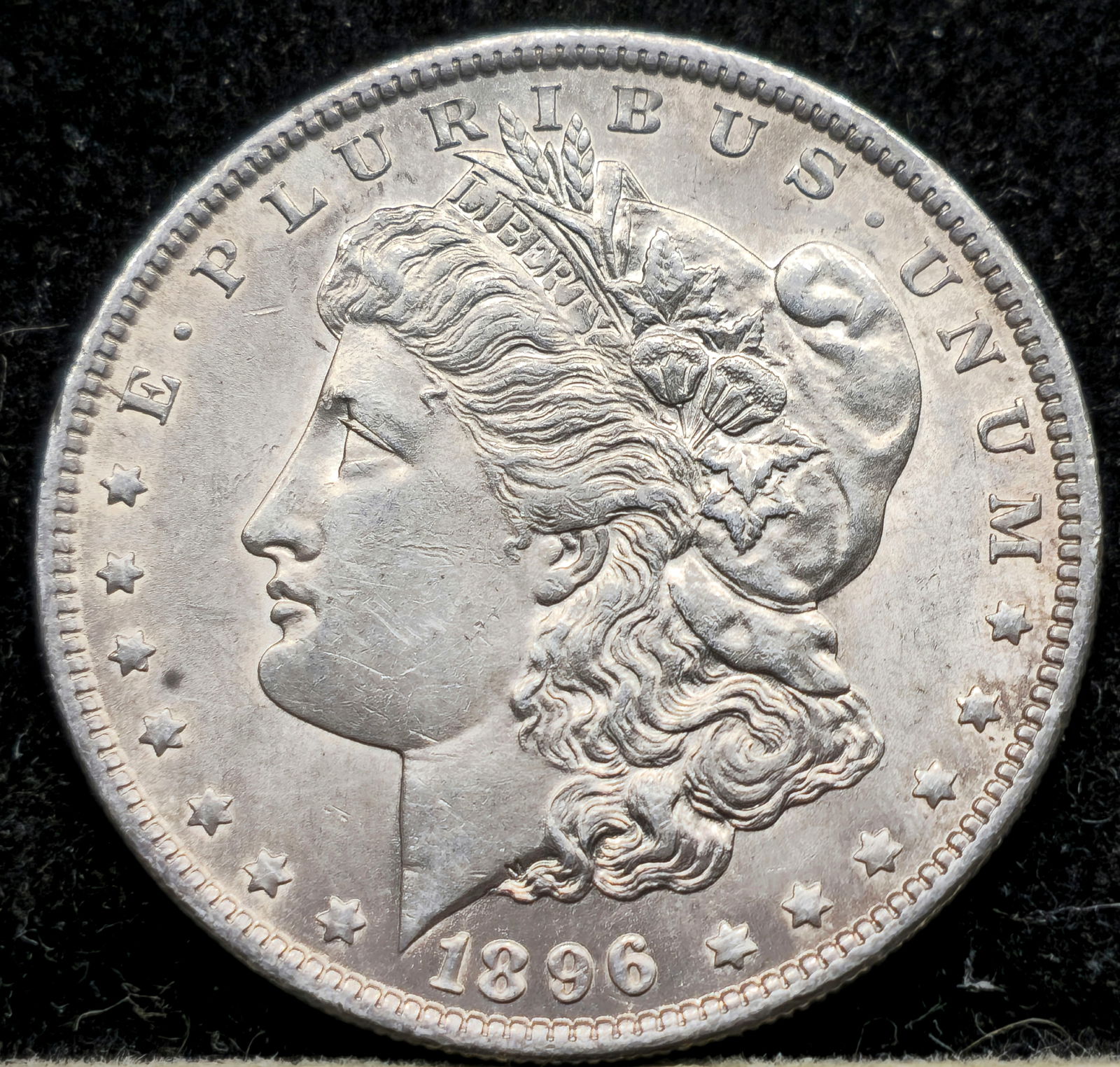 1896 Morgan Dollar (1 of 4)