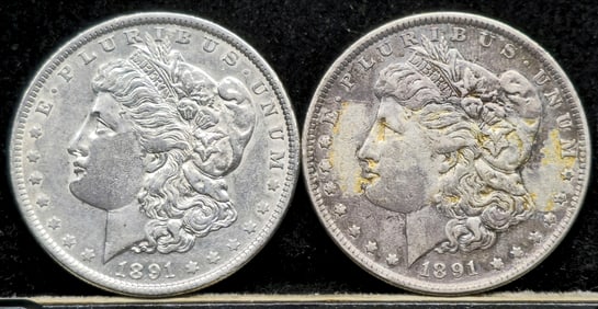 1891 Morgan Dollars
