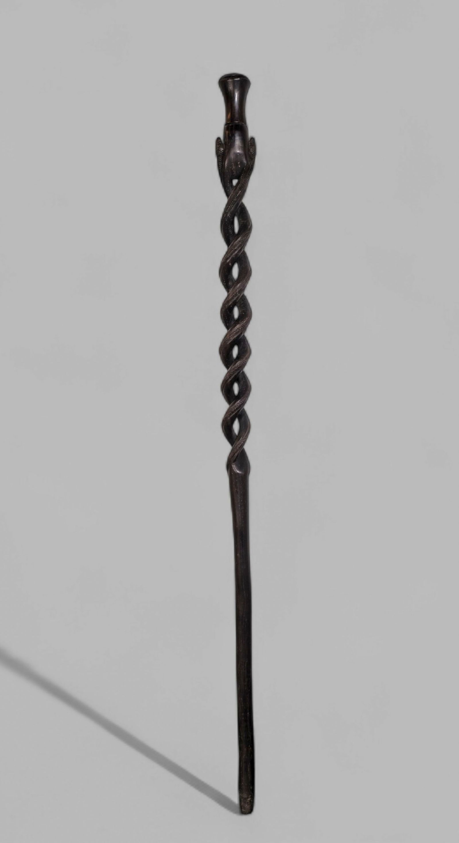 19th Century Folk Art Intertwining Snake Walking Stick/ Cane (1 of 5)