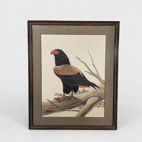 John Ruthven "Bateleur" Lithograph