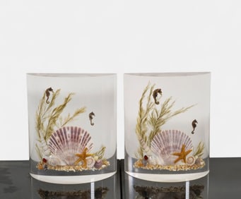 MCM Lucite Shell & Seahorse Bookends