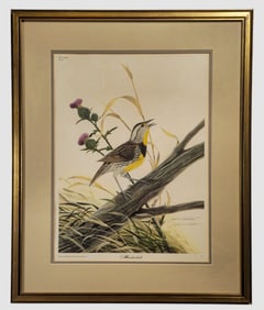 John A. Ruthven " Meadowlark"  Limited Edition Signed Print