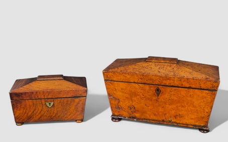 19th Century Birdseye Walnut and Rosewood Tea Caddies