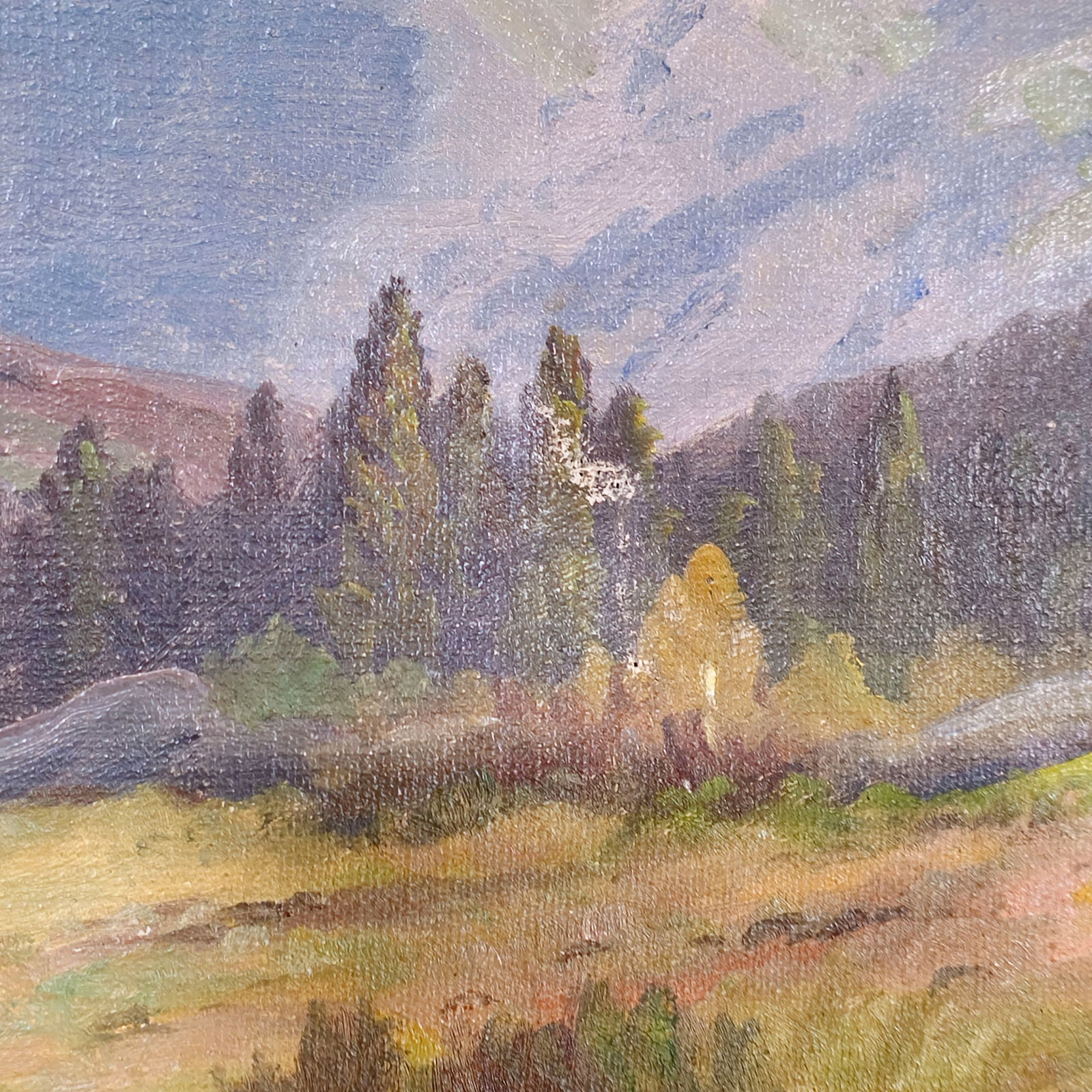 Henry Ness Oil - 7