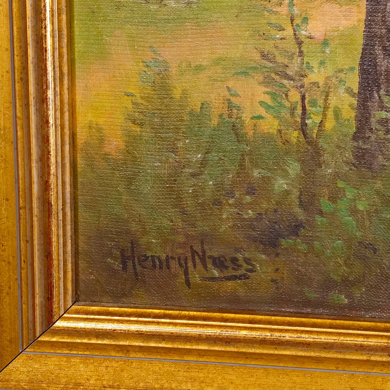Henry Ness Oil - 8