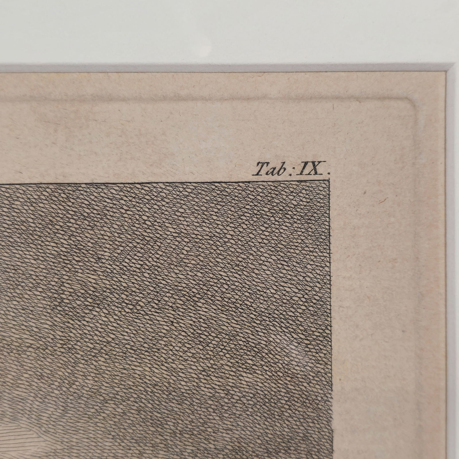 Thomas Major Etchings - 8