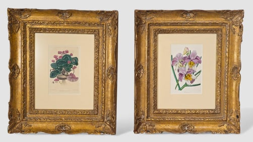 Botanical Prints From British Flower Garden Book