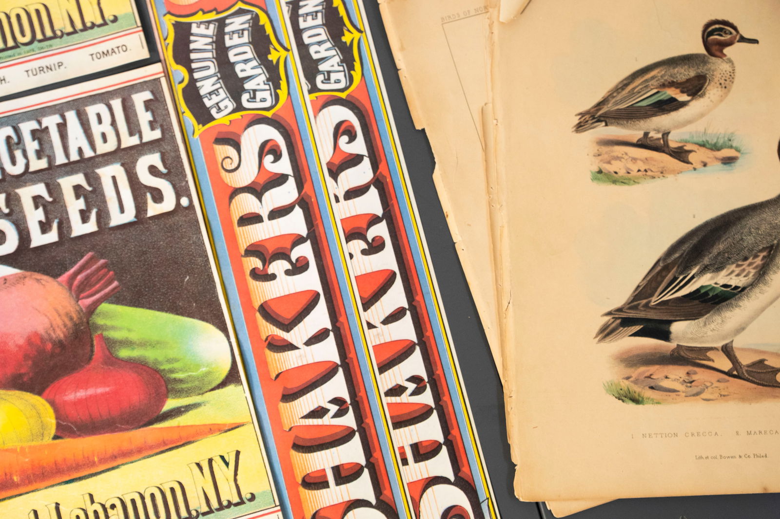 Assembled Ephemera Grouping - 3